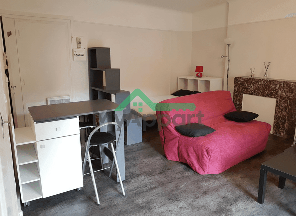 T1 meublé + terrasse hyper centre Poiters — photo 1