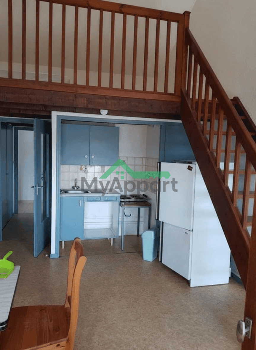 Grand appartement avec mezzanine 40 m2 puyvalador — photo 1