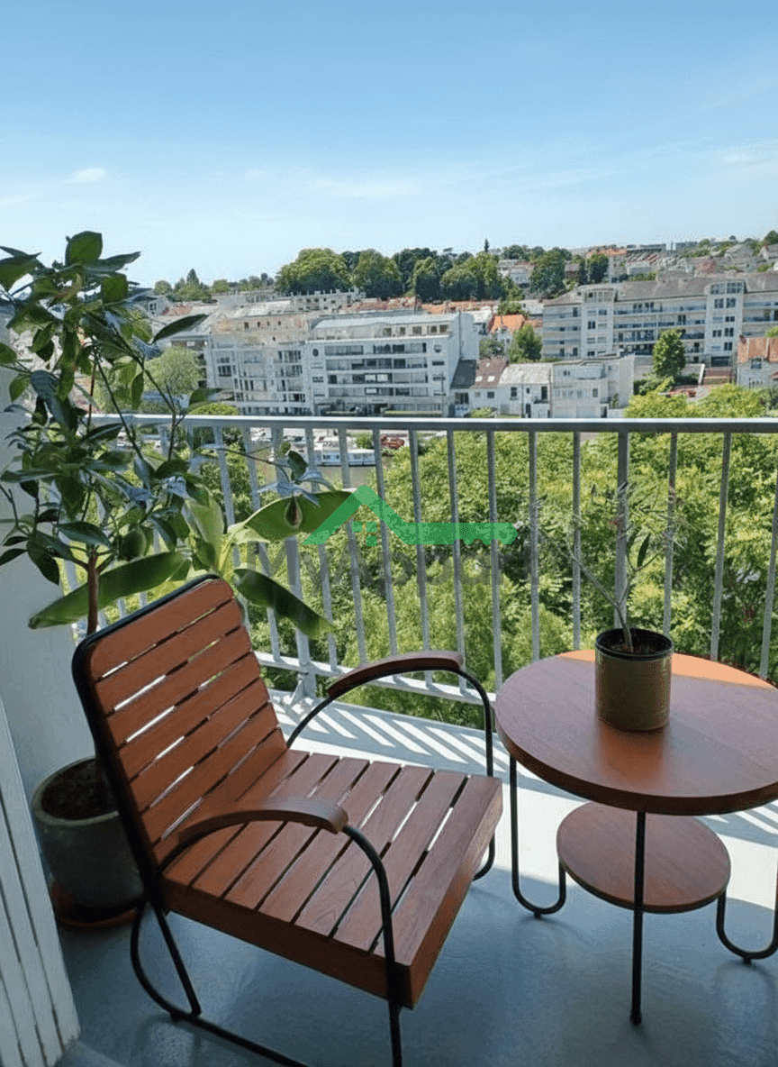 T3 traversant vue Erdre — photo 1