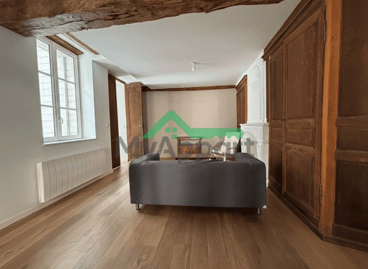 Type 4 meublé - Hypercentre — photo 1