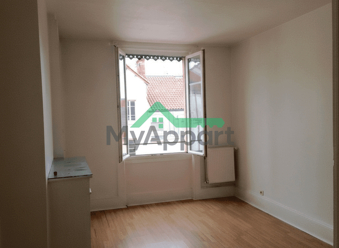 Location appartement lyon7 — photo 1