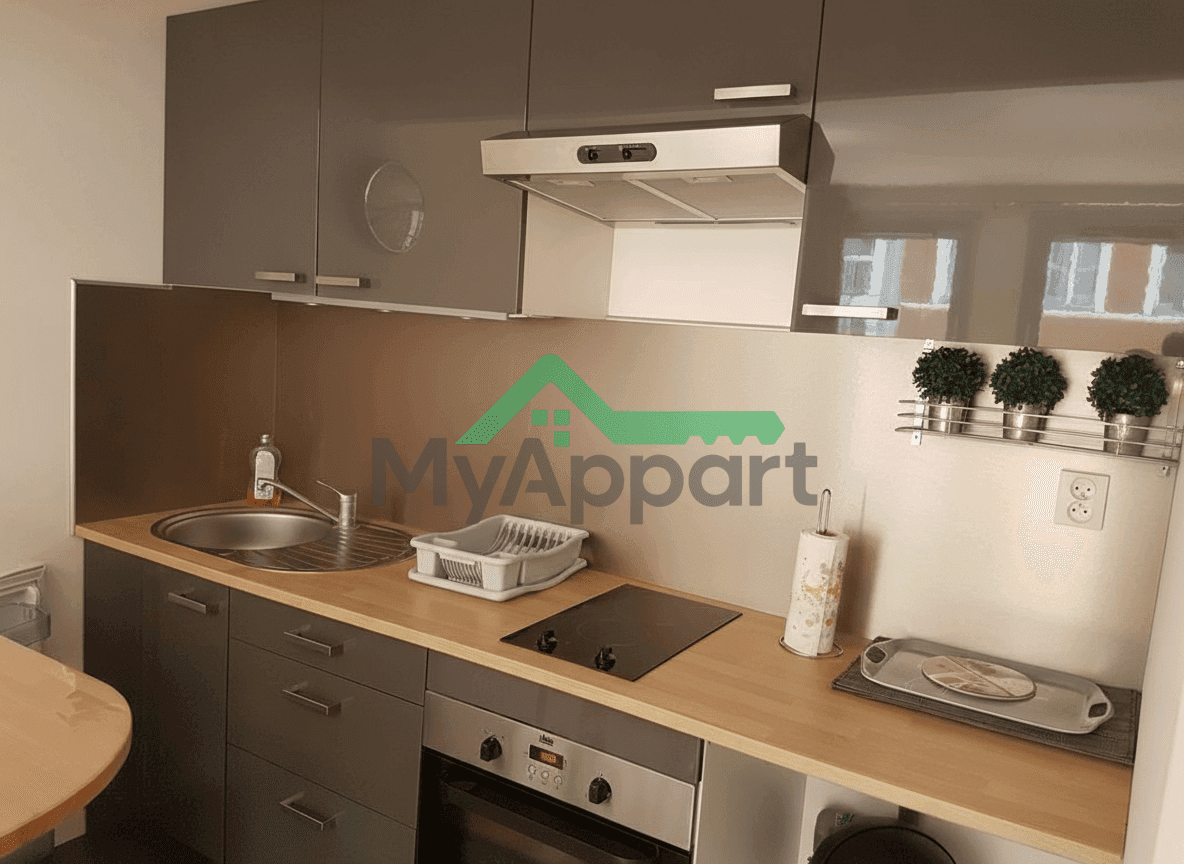 LILLE LOUE STUDIO 30m2 LIBRE +PARKING — photo 1