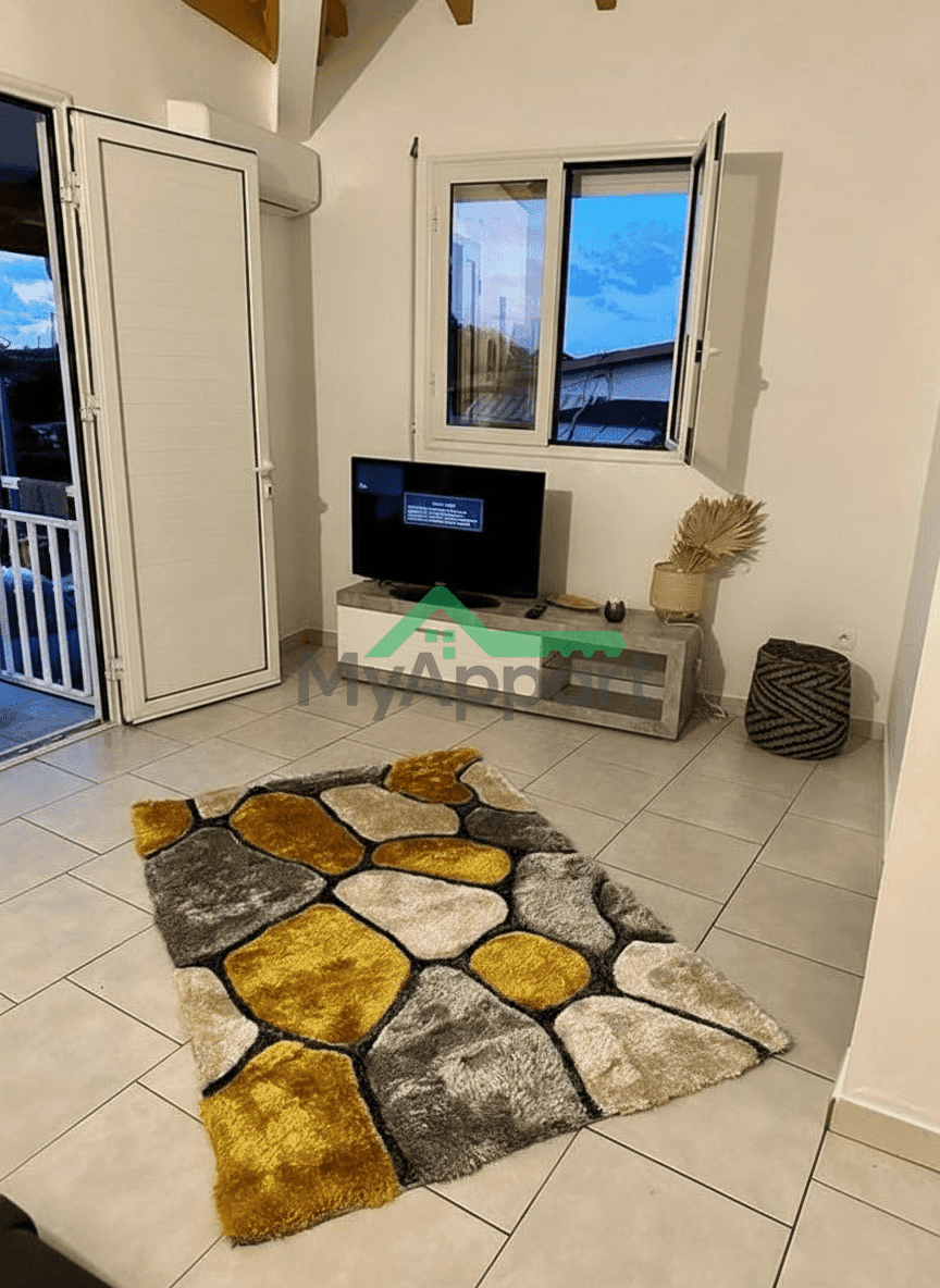 Studio disponible le 1er avril 2025 — photo 1