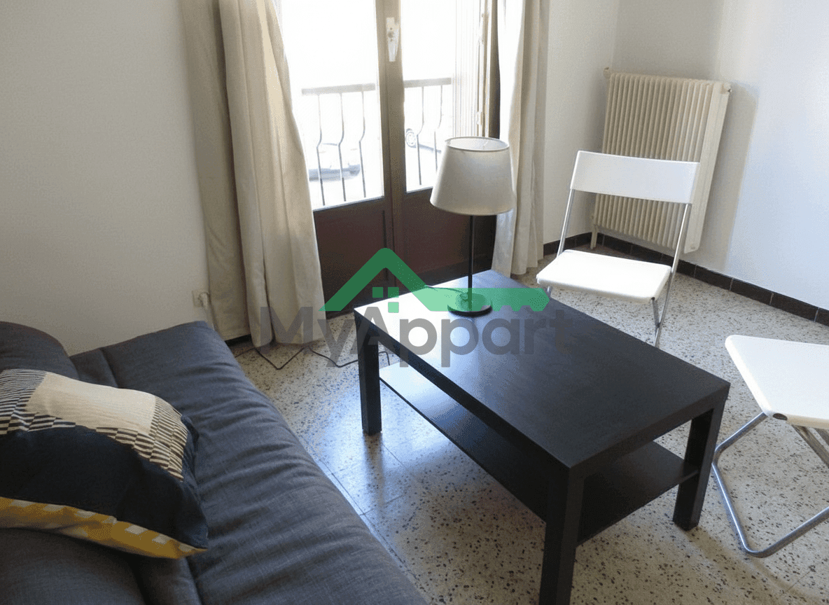 T1 MEUBLE de 28,67 m2 (loi carrez) — photo 1