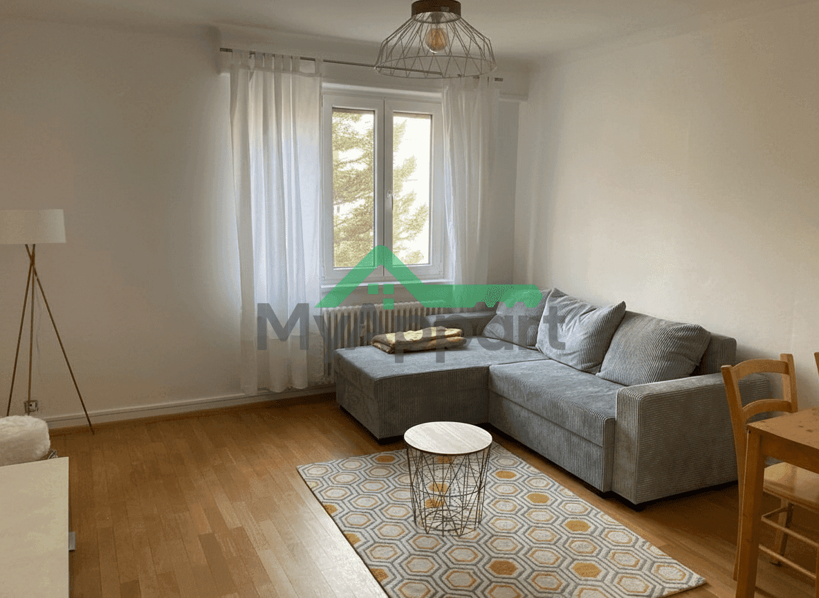 Loue magnifique appartement meublé T2 dans le quartier Sud de Colmar — photo 1