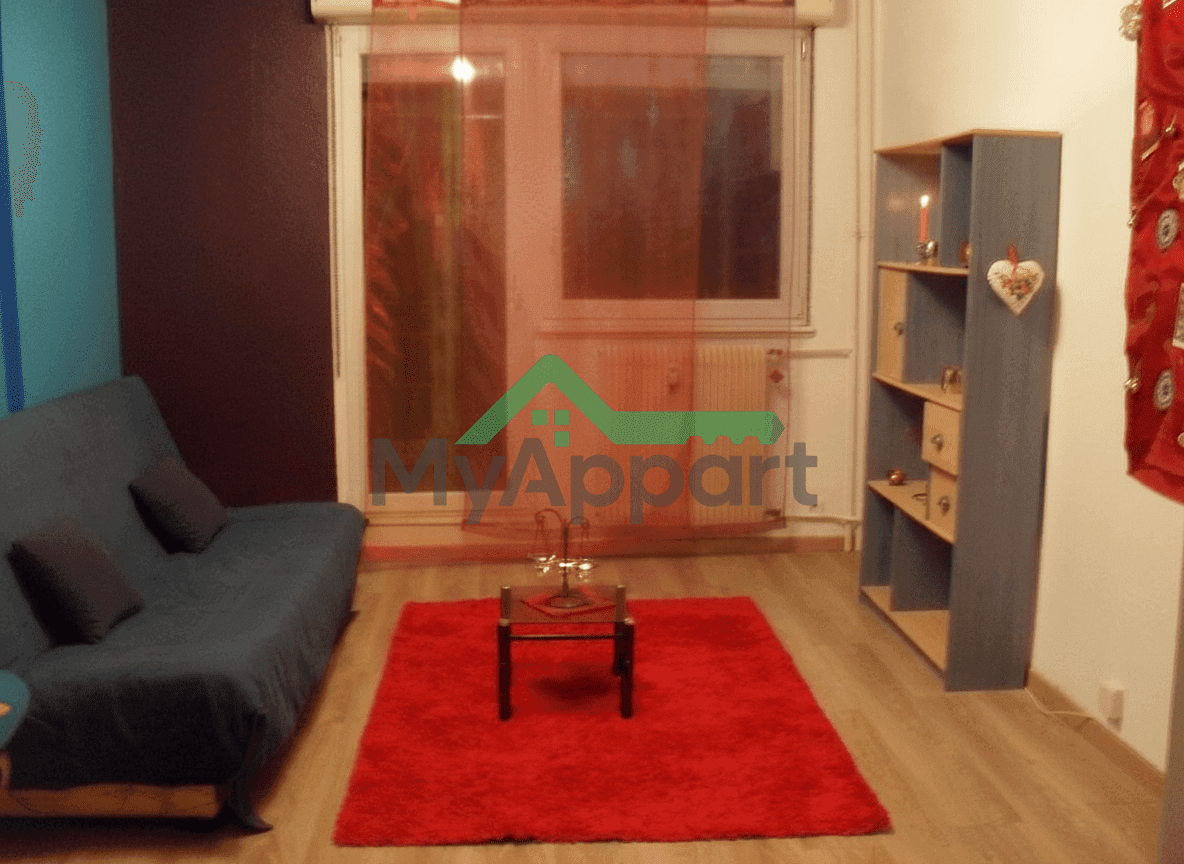 F1, tout équipé, prêt à vivre, prox tram — photo 1