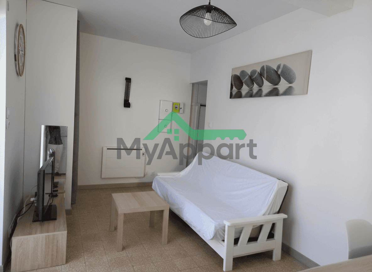 Studio 1 piece a l'annee — photo 1