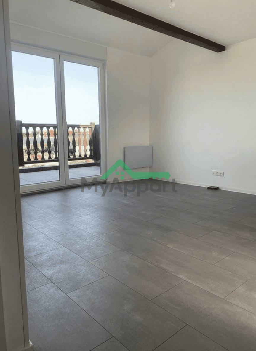 A louer F3 a DORLISHEIM — photo 1