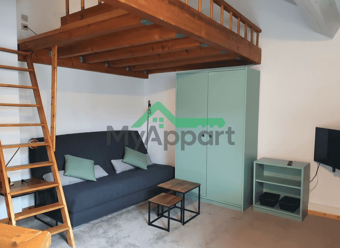 Loue T1 loft 35 m2 + mezzanine — photo 1