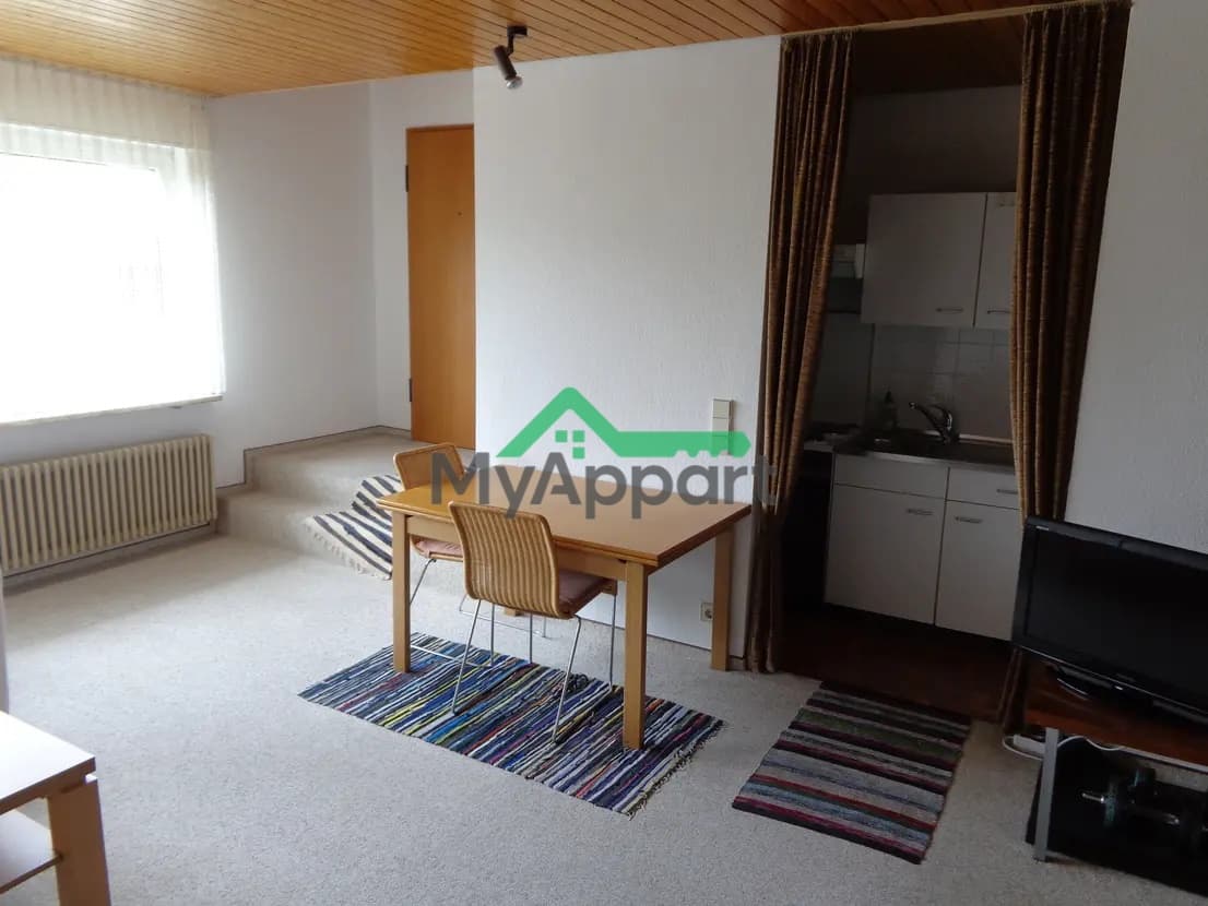 Studio meublé en rez-de-chaussée • 1 pièce • 40 m² – Issy-les-Moulineaux — photo 1