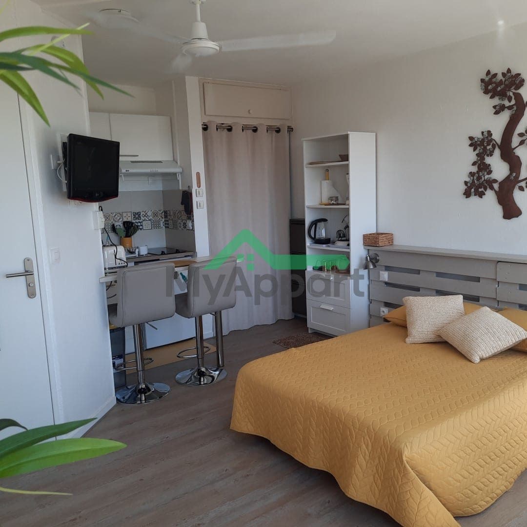 Studio 24 m² — photo 1